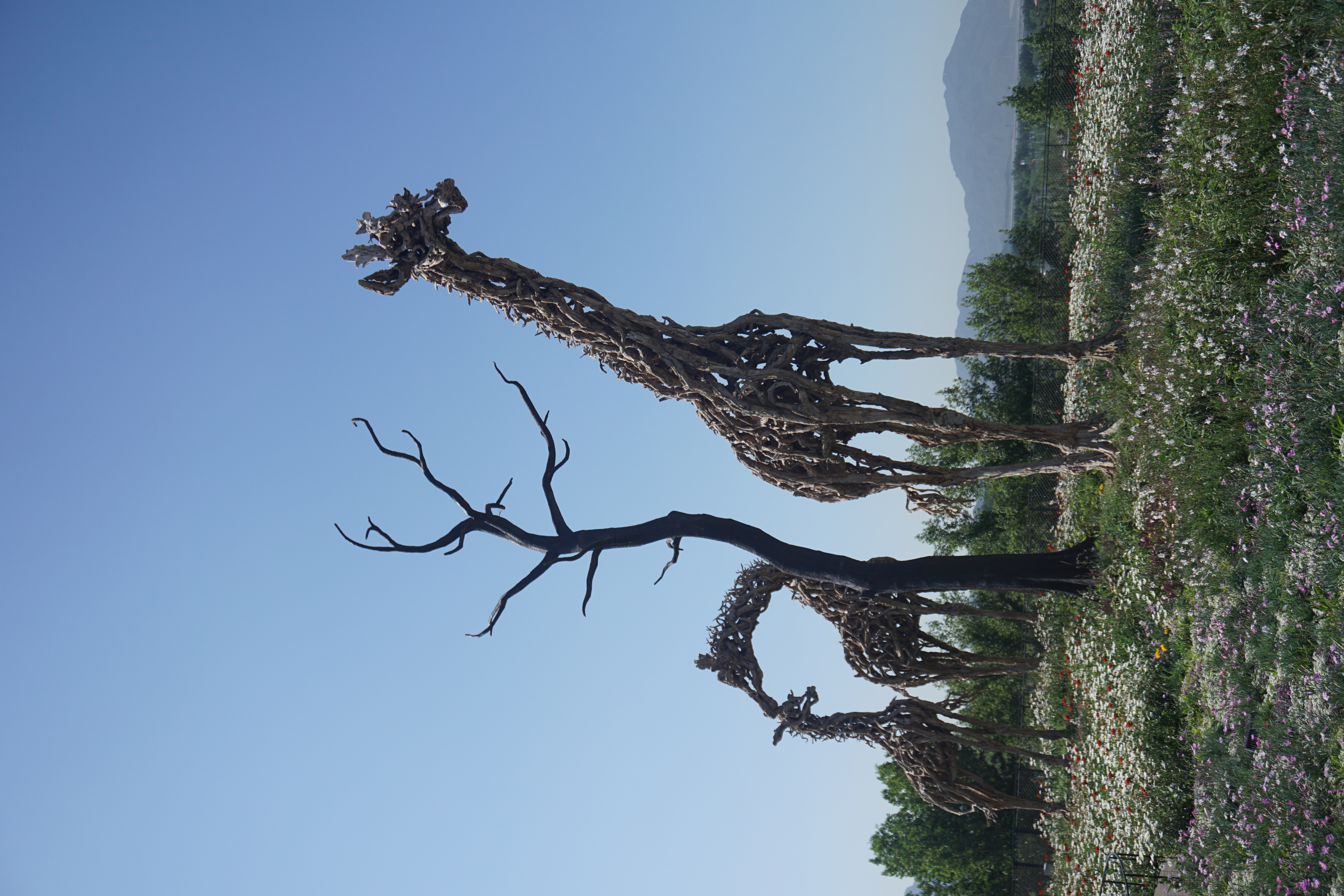 长城脚下的村庄的图片,长城脚下的美景