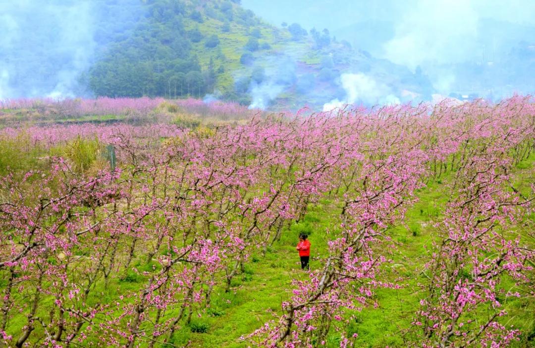 台州藏在深山里的世外桃源,台州家乡春天的美景