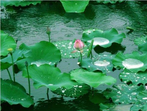 美得让人窒息的诗词,美得让人窒息的唐诗宋词