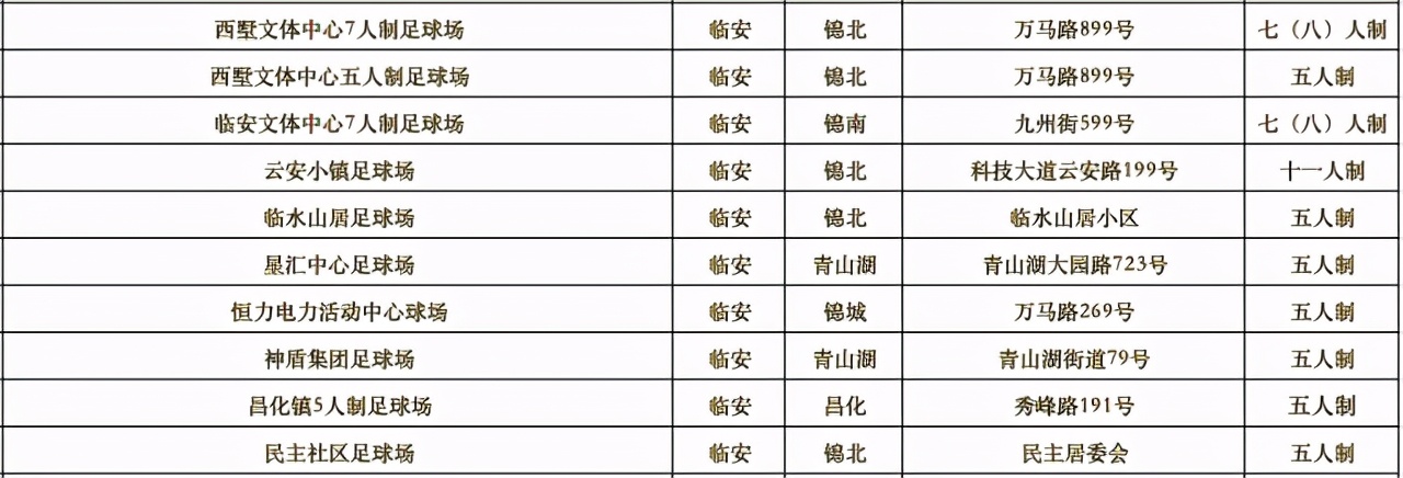 杭州亚运足球场地,杭州有没有标准的足球场