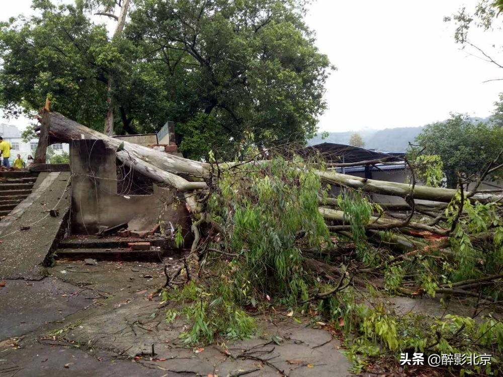 盘点北京城的罕见天象,最怪异的莫过于“天上下钱”