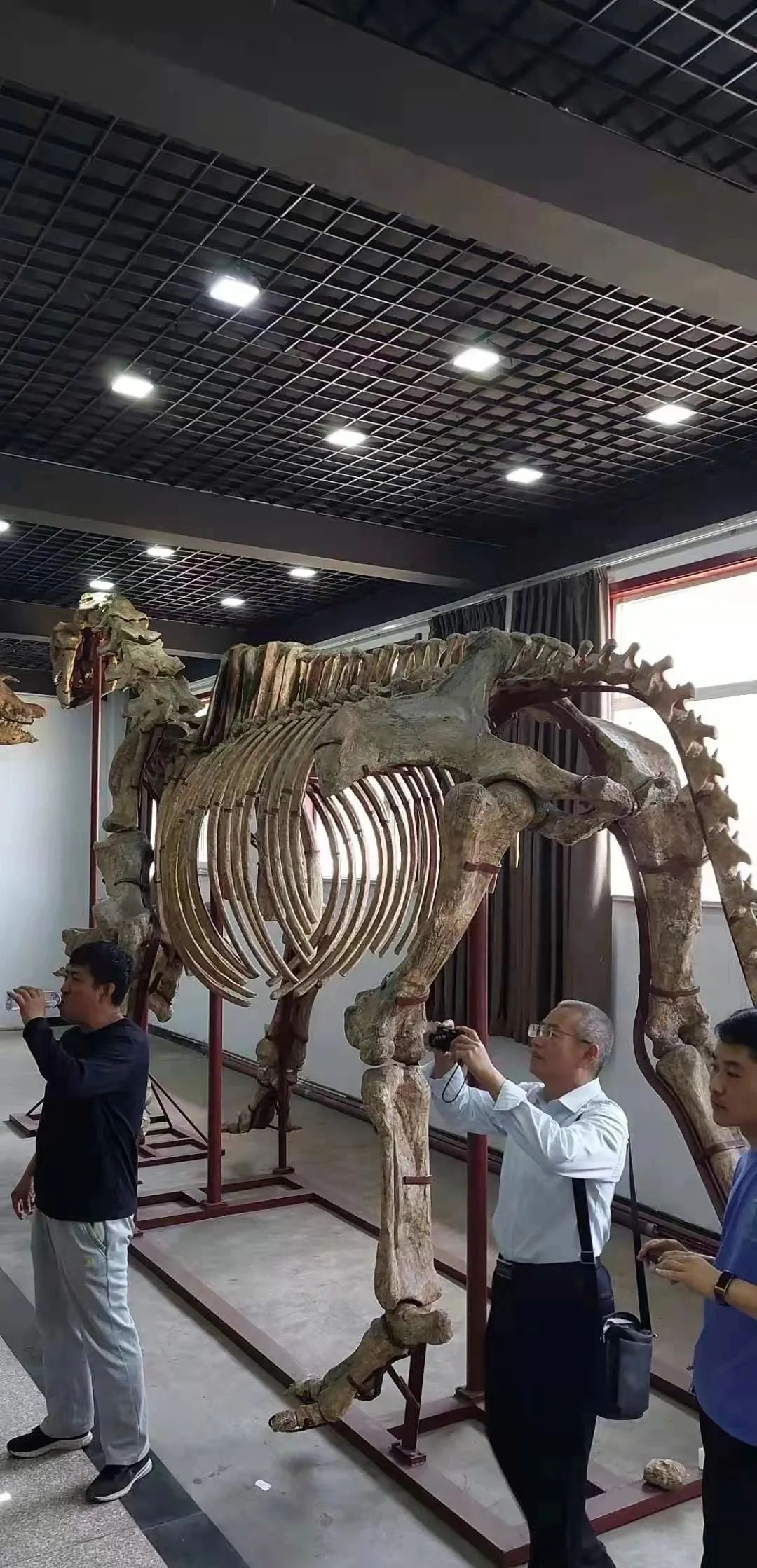 赵振清：龙的传人，龙骨情怀