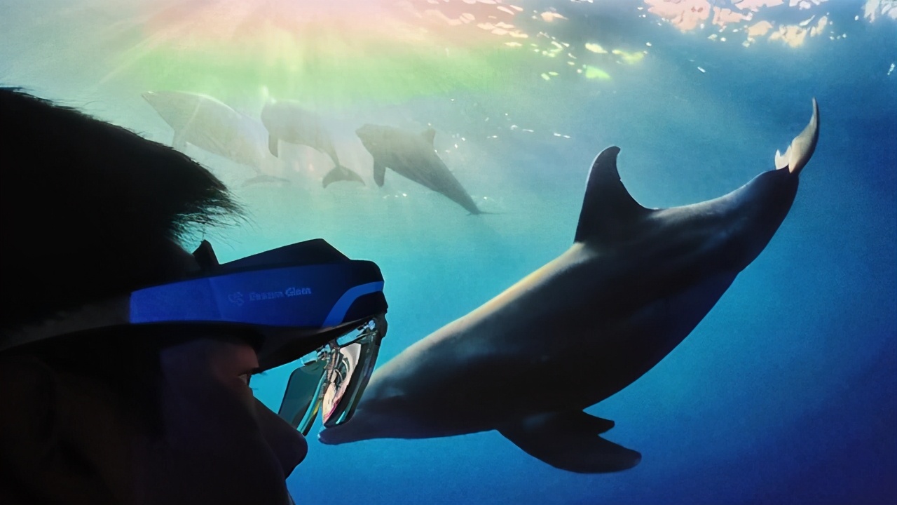 switch体感游戏需要买什么配件,switch必买配件和必买游戏推荐