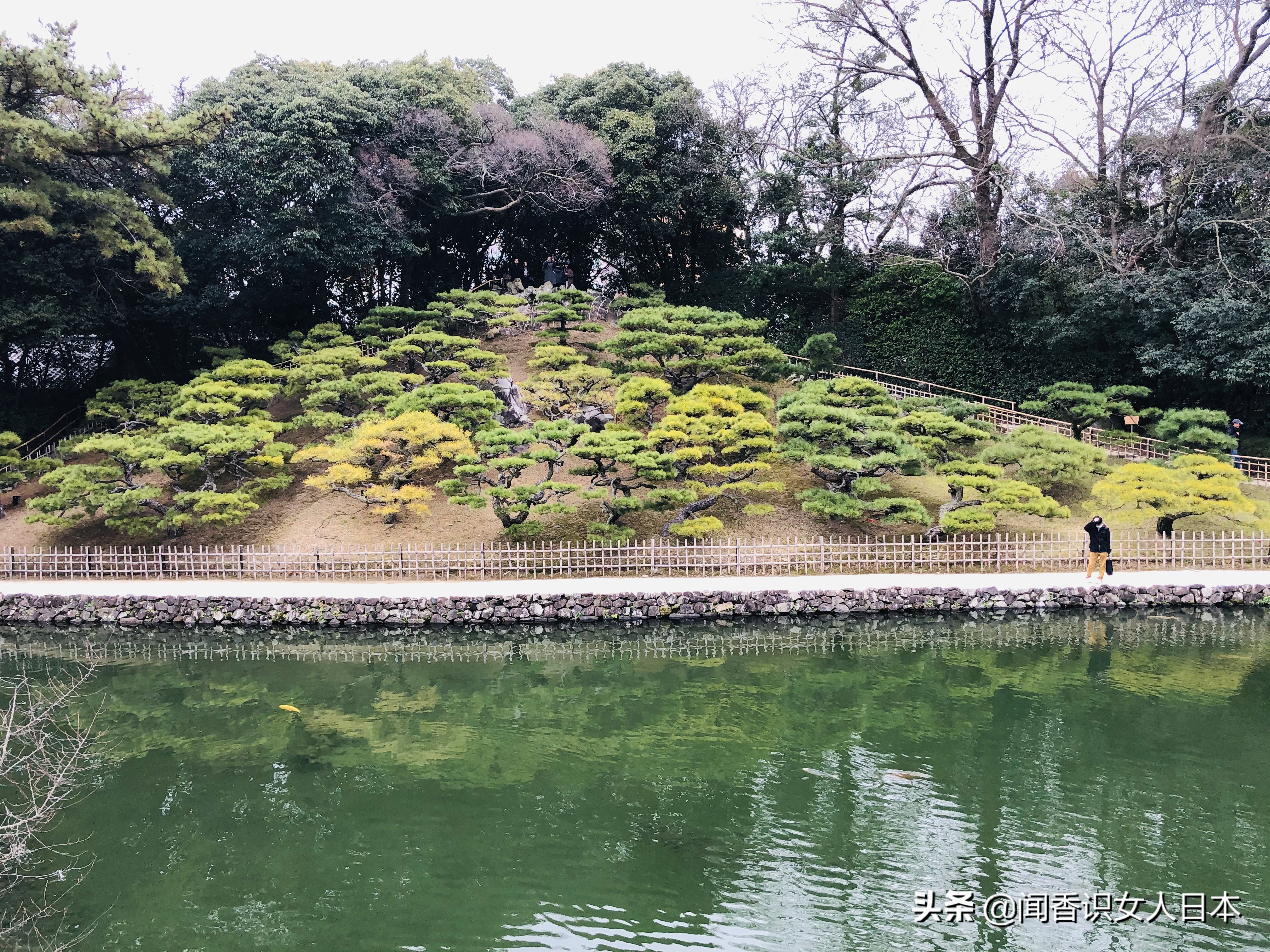 日本的米其林三星餐厅,日本米其林三星参观