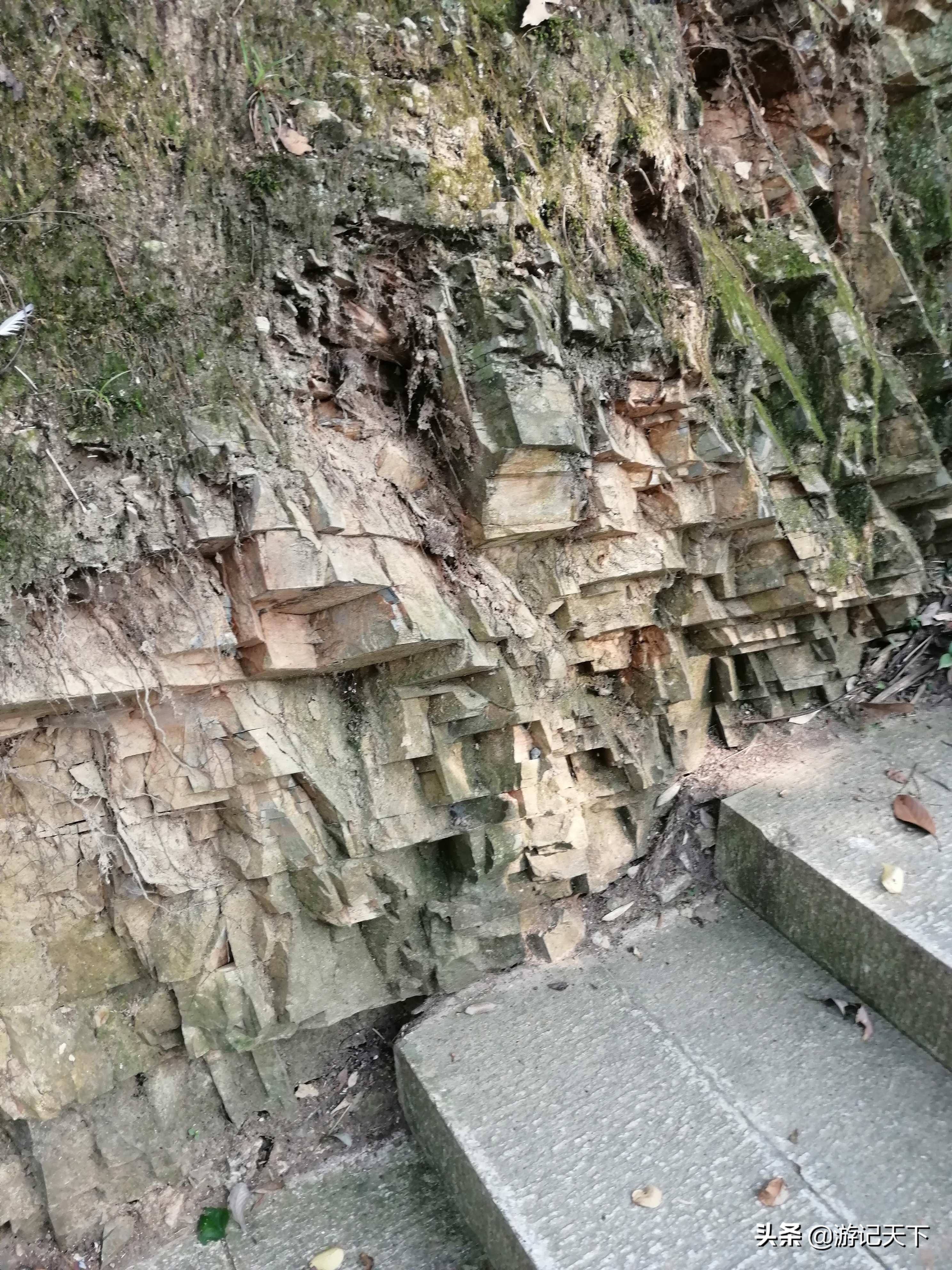 博导带我游龙川——阿尼亚房车伴我走天涯