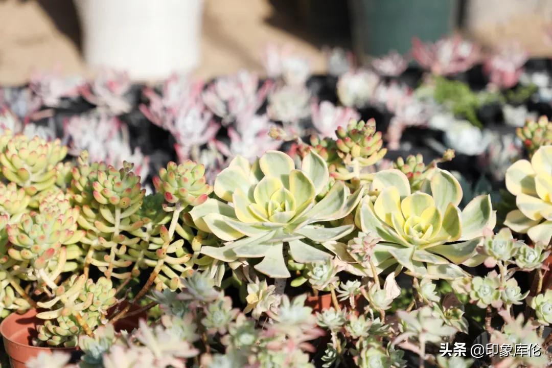 80后创业致富小伙,80后农村小伙创业历程