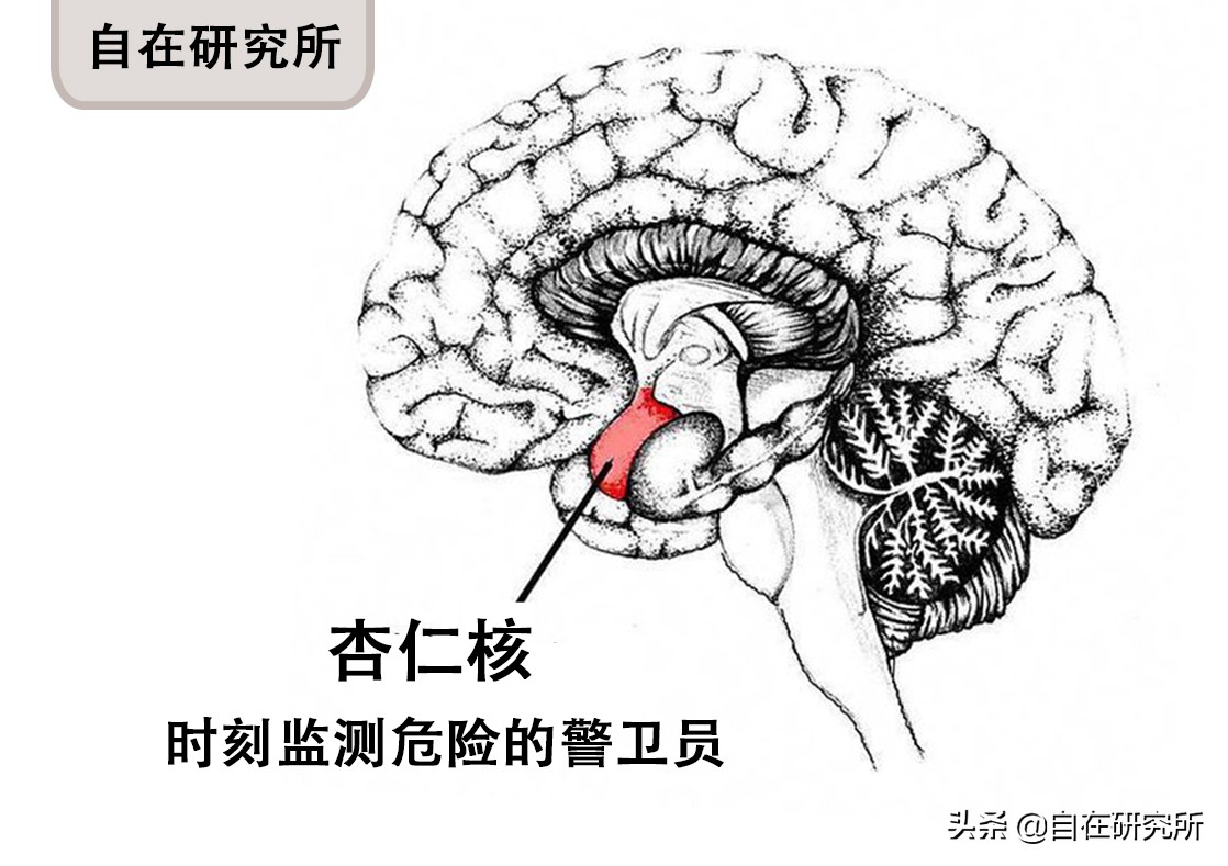孩子爱哭闹发脾气还爱打人,孩子容易情绪激动易怒失控