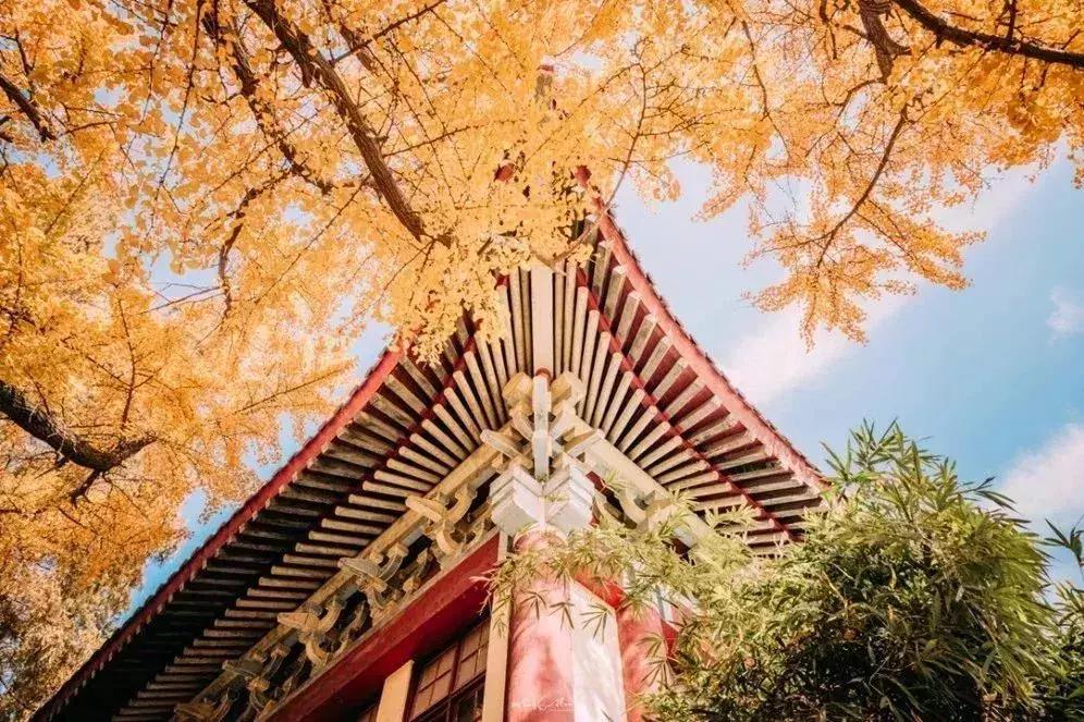 南师大马拉松开幕式,最美南师