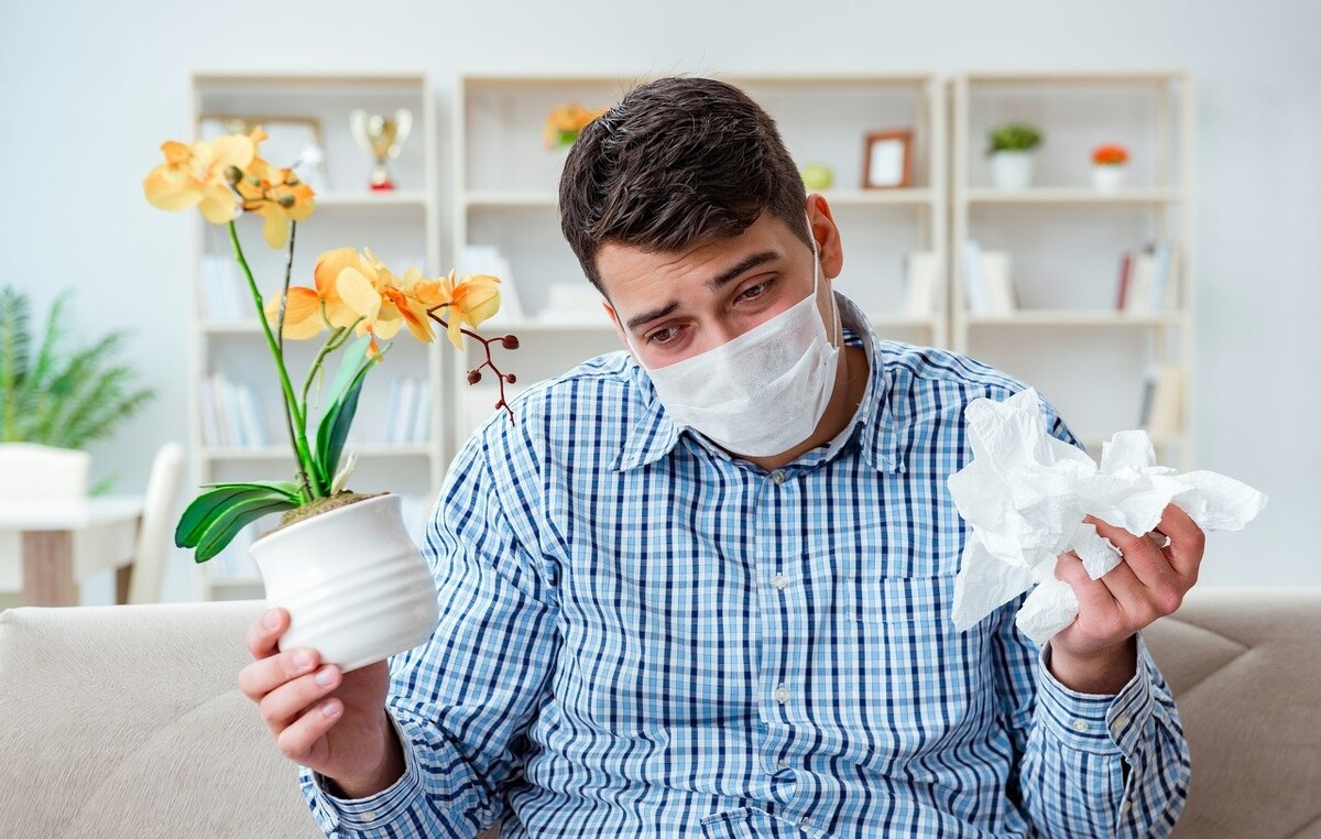 过敏性鼻炎真的只是鼻子的问题吗,鼻子过敏性鼻炎严重吗