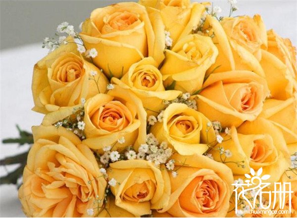 送9种不同颜色的玫瑰花代表什么,求爱玫瑰花应该送多少朵合适