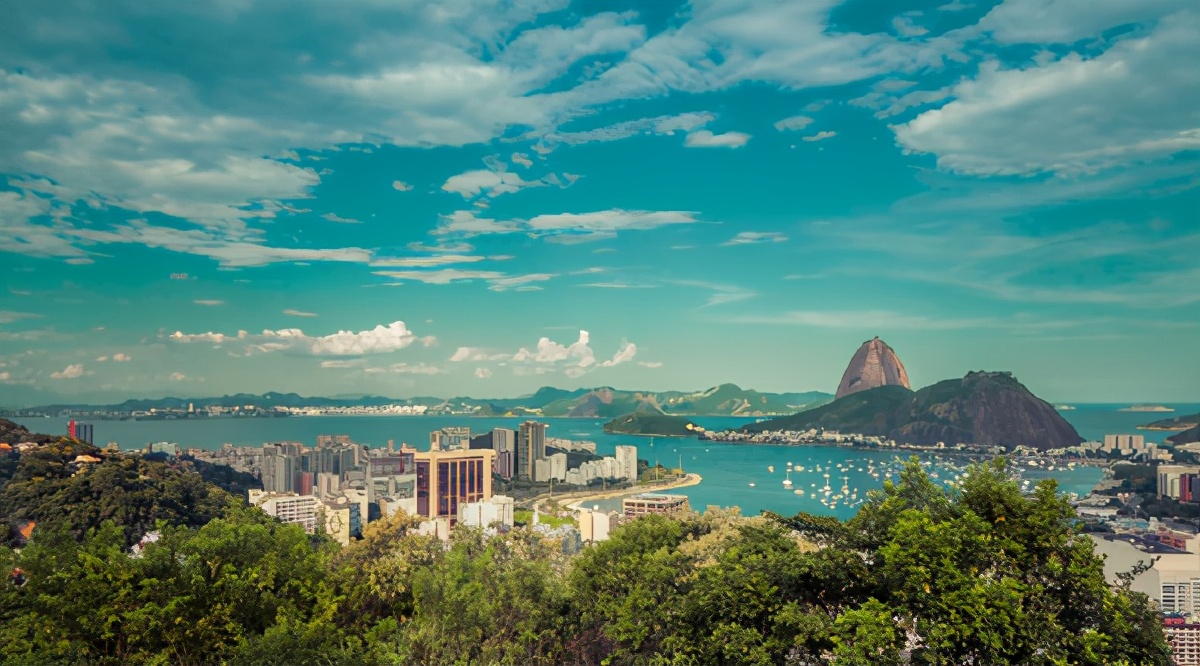 宸磋タ瓒崇悆绉戞灄钂傚畨鍚屽煄姝绘晫,宸磋タ姝绘晫