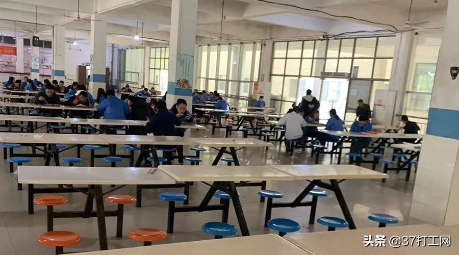 为什么不能进厂,为什么这么多人说进厂没有前途