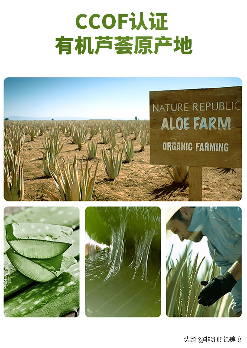 万能芦荟胶的妙用,傲洋万能芦荟胶