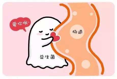 适合长期吃的益生菌有哪些,健康微生态益生菌有哪些