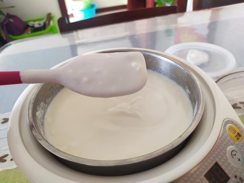 小熊酸奶机希腊酸奶,自制酸奶酸奶机版