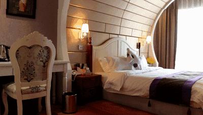 净利是同类酒店三倍!“情趣酒店”消费升级了吗?