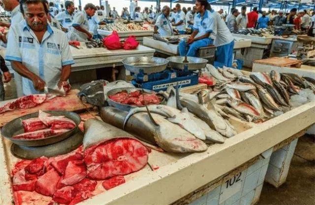 迪拜到底有多壕看了你就知道,真实的迪拜没你想象中那么好