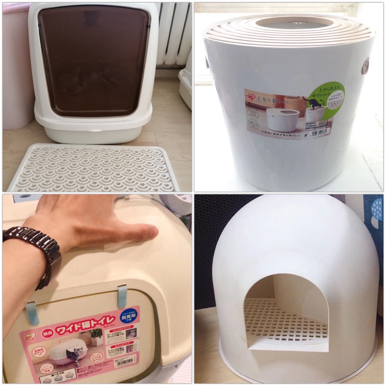 黑色猫配什么样的猫好看,猫选什么样的厕所