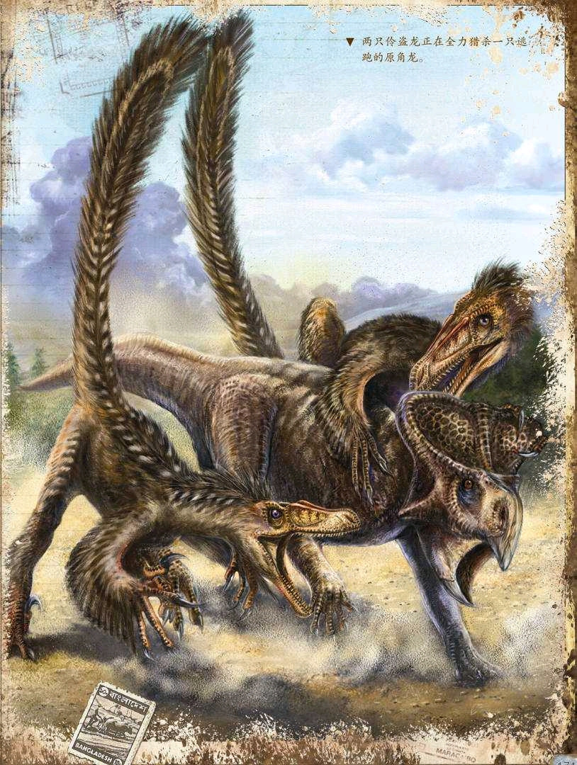 迅猛龙和伶盗龙是不是同一种恐龙,伶盗龙和迅猛龙的区别