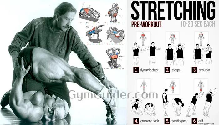 你还在做这些错误的拉伸吗,日常拉伸了解一下