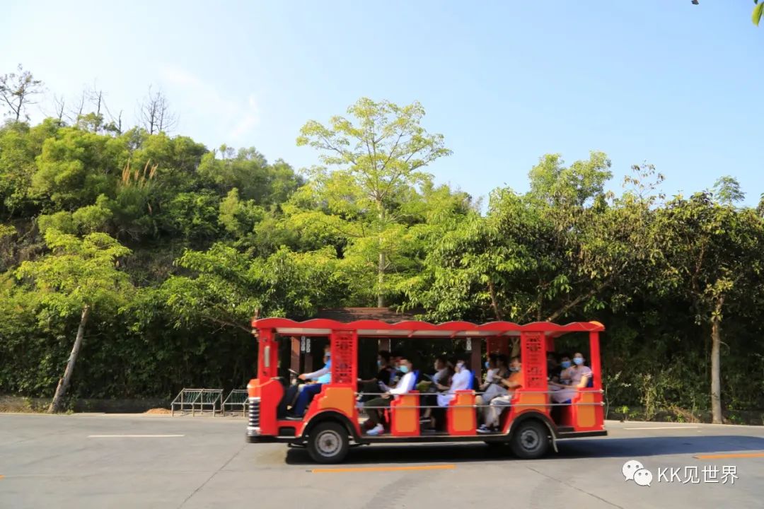 东澳岛电动车环岛旅游,珠海东澳岛徒步攻略