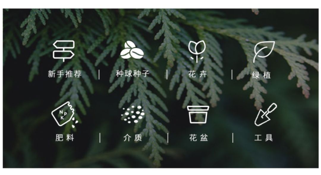 宅家还不逛淘宝？低价格、高格调好物，链接直给，买就完了