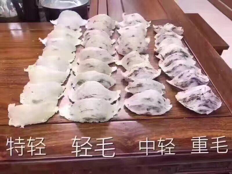 真燕窝和假燕窝的口感区别,印尼燕窝和马来燕窝有什么区别呢