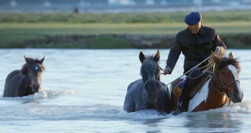 天山脚下纪录片,天山脚下纪录片完整版