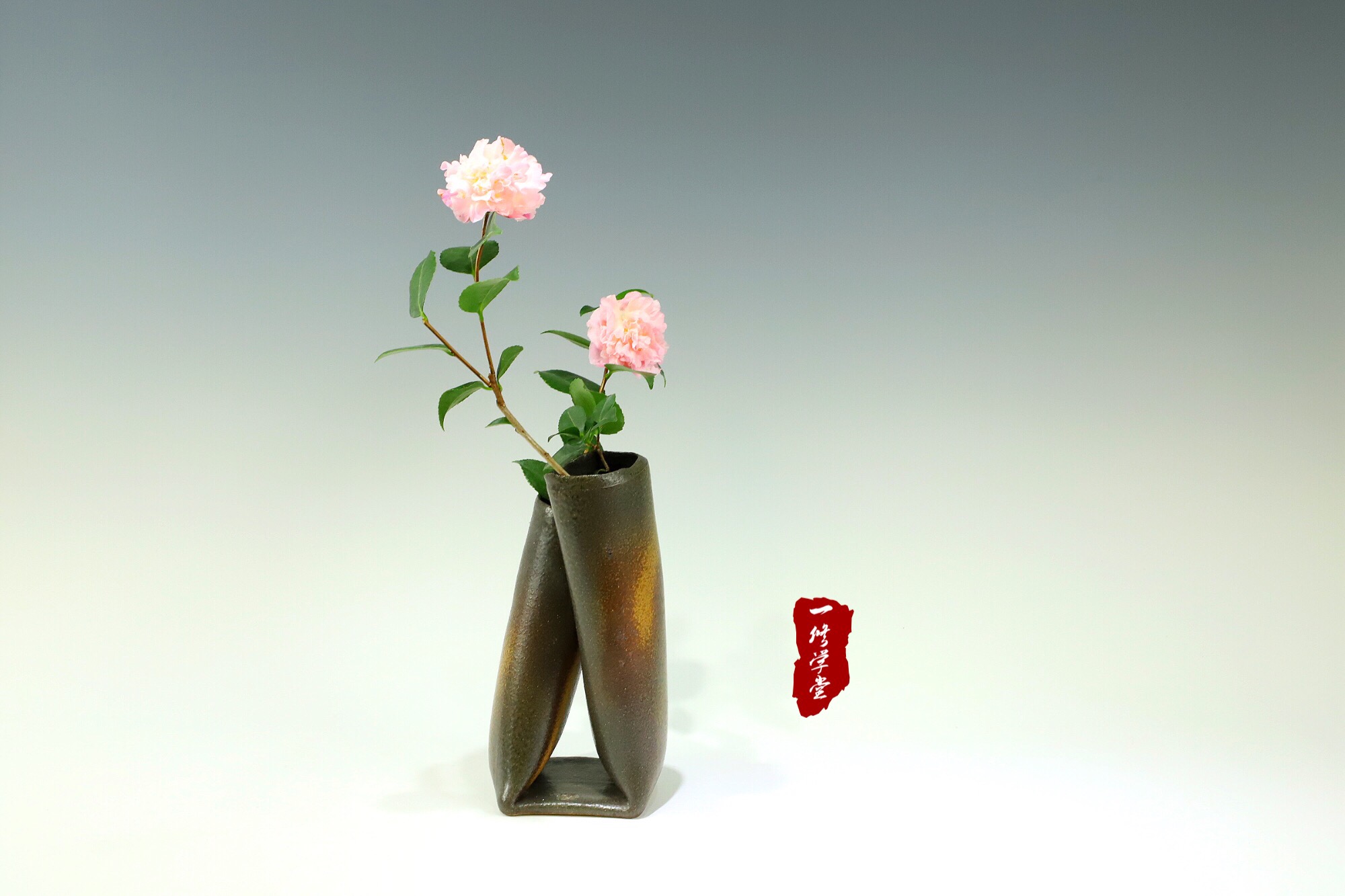 林清玄刺花,学插花知识