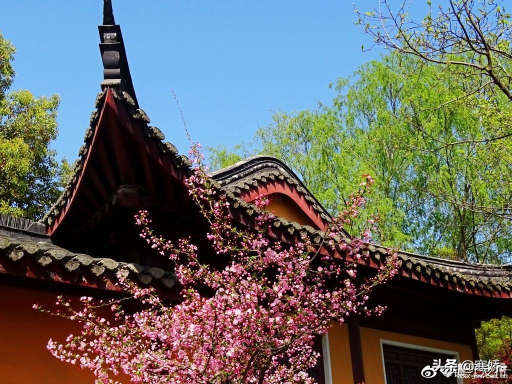 人不为己天诛地灭被误解成什么,人不为己天诛地灭真正的原意