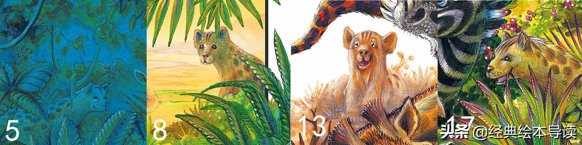 “弱势”与卑微生命的愿望——《阿吉的许愿鼓》导读