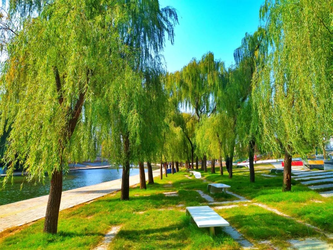 洛阳的居住环境,洛阳居住的真实感受