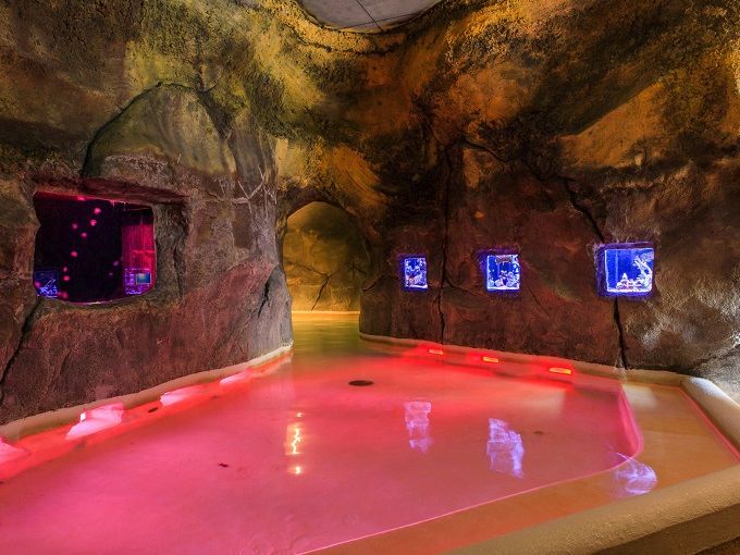 等你盛开，北海道之樱（文末也有福利在等你）