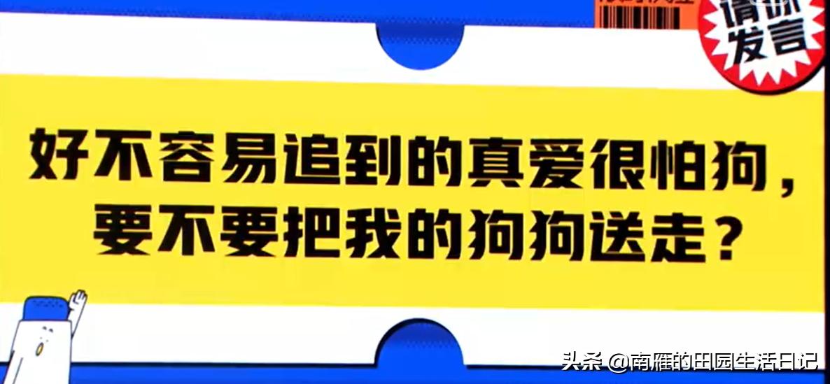 怎么克服严重的恐狗症,为什么怕狗但是自己想养狗
