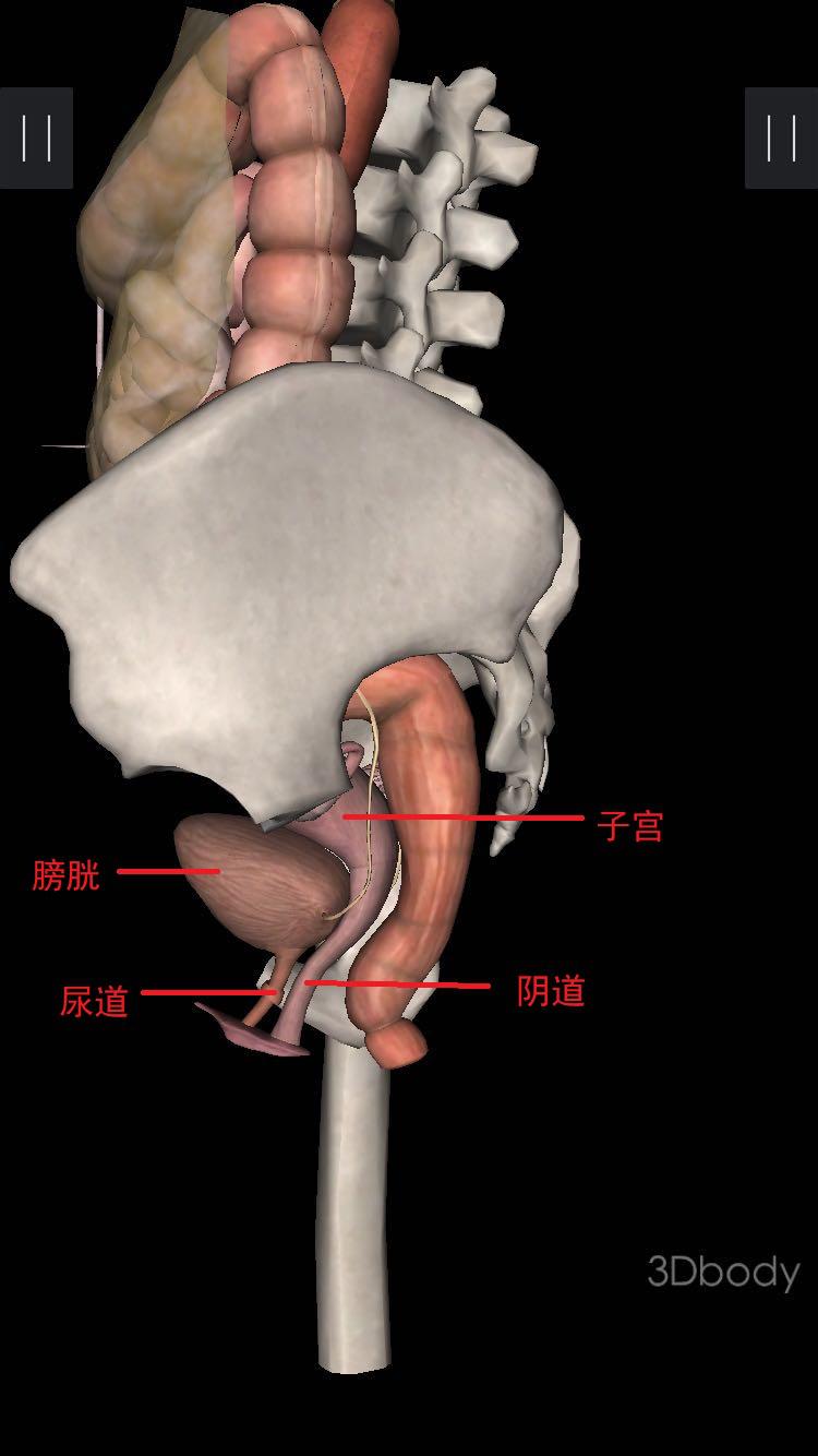 避孕的四大错误,这4种避孕方法不靠谱别再用了