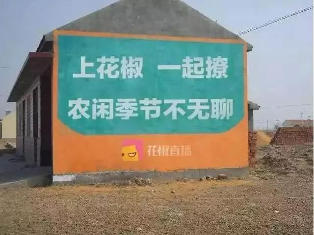 土味刷墙广告是什么 (农村刷墙广告为什么这么火)