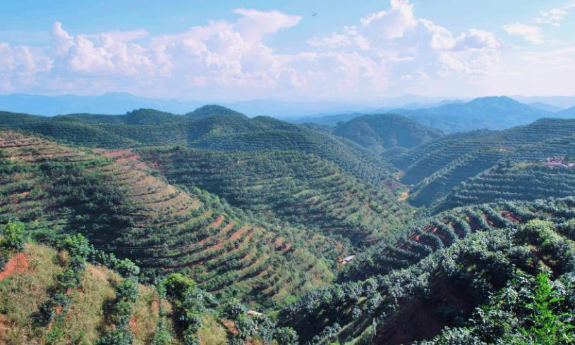 西双版纳的霾雾,西双版纳雾霾严重什么原因