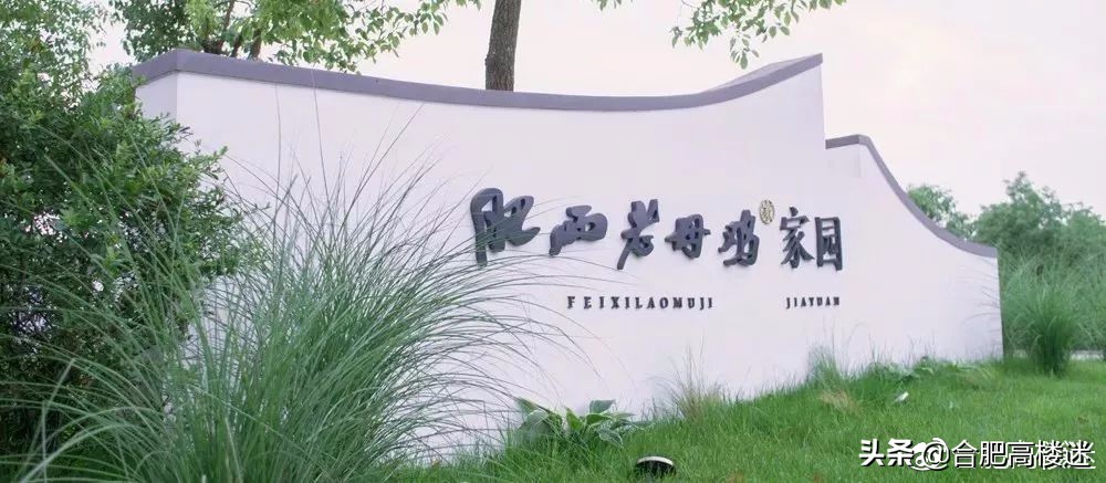 合肥五一旅游指南,五一合肥免费旅游景点