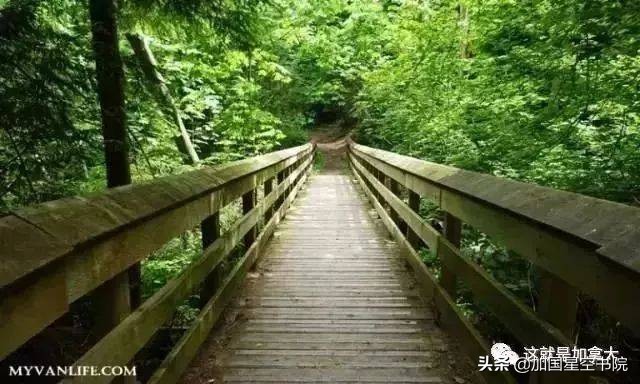 世界十大顶级图书馆,震撼世界的图书馆