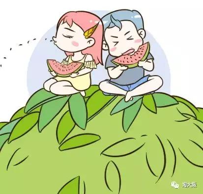 碧柔防晒2017新款,日本新款优衣库防晒衣女款