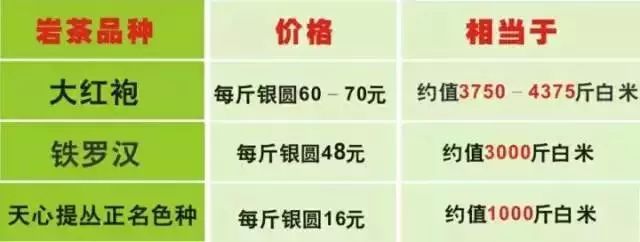 武夷岩茶大红袍讲解词,武夷岩茶大红袍基础知识