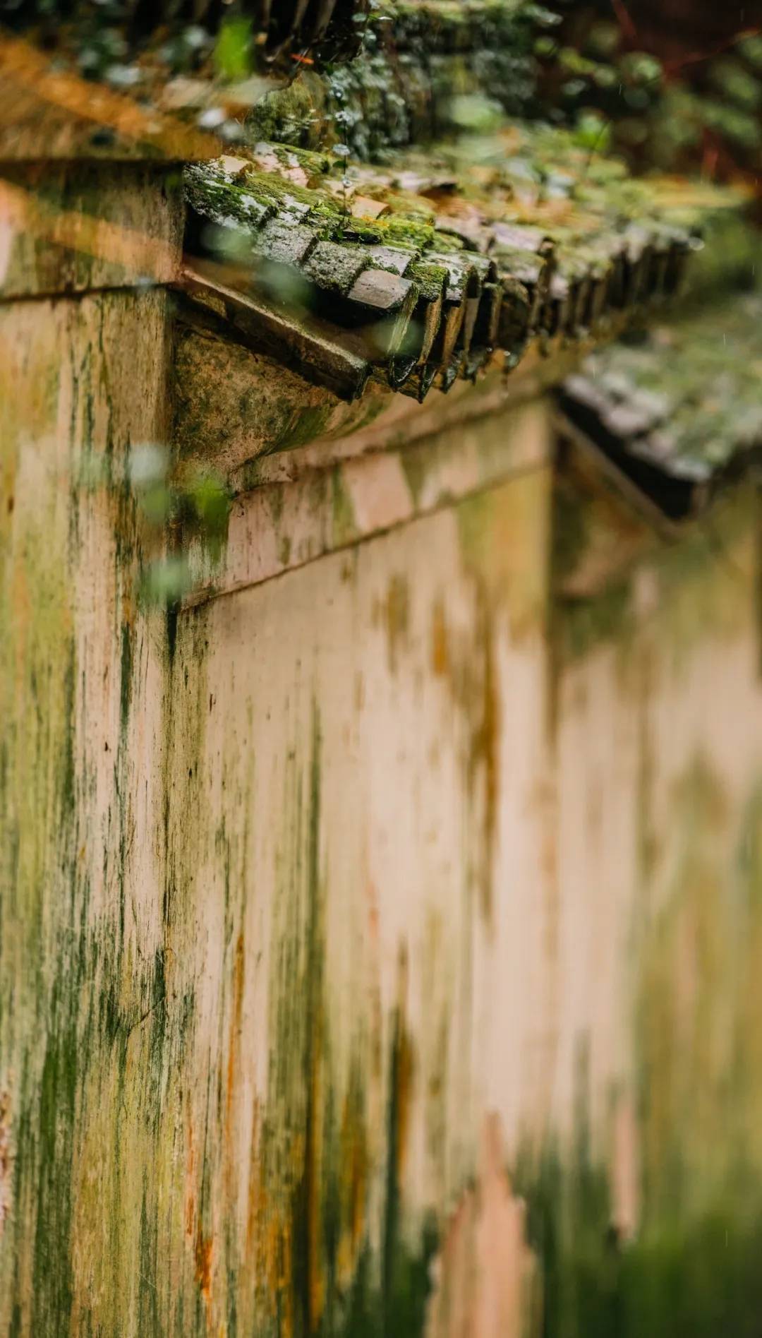 舟山副市长方维，5月23日在驴妈妈直播间带你“舟游列岛gou”！