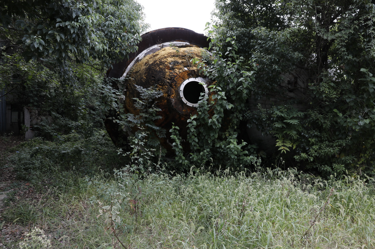 武汉东西湖产的雪花啤酒,东西湖雪花啤酒厂2015年