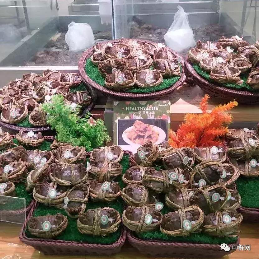 中秋营销水产篇，如何稳中求胜创佳绩？