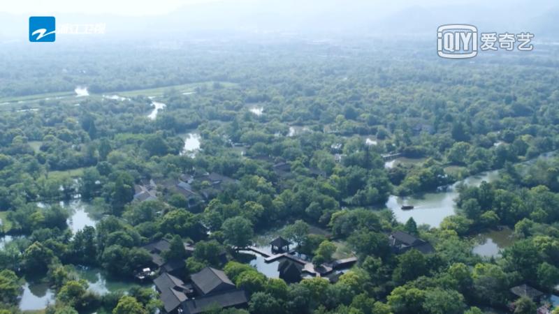 西溪湿地国家公园最近有什么节目,杭州西溪湿地附近大火