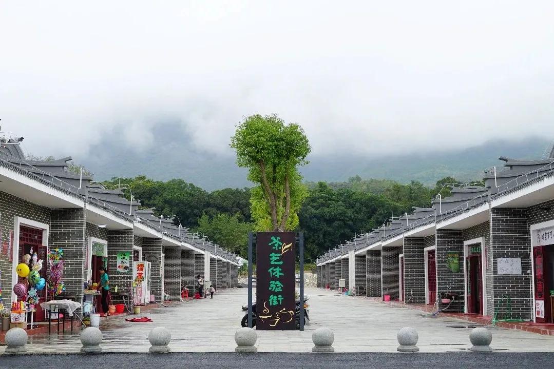 林青水绿茶飘香人道乡村好风光——莲花山片区乡村振兴示范带