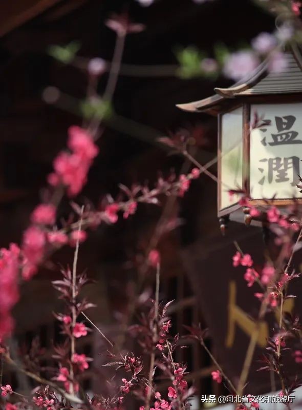 趣玩张家口,趣玩温泉怎么样