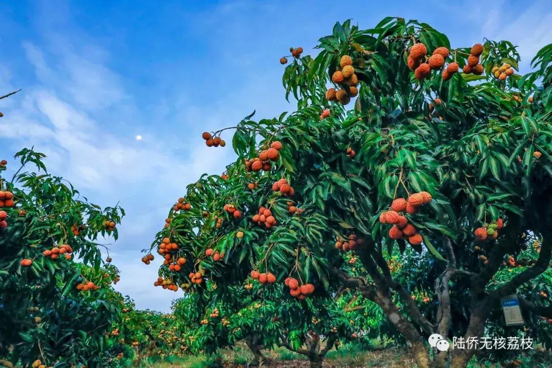 风水宝地旅游推荐,海南风水古村