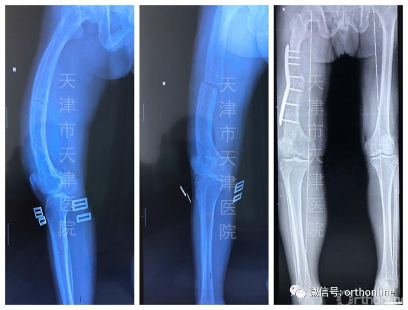 骨科医生摇篮,骨科奠基人