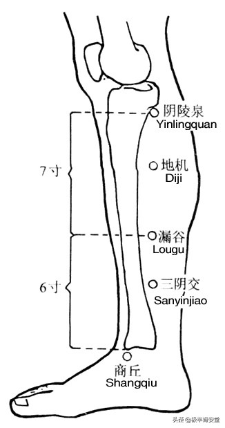 小便短赤淋沥涩痛灸什么穴位,尿频尿急尿不尽在哪个穴位放血